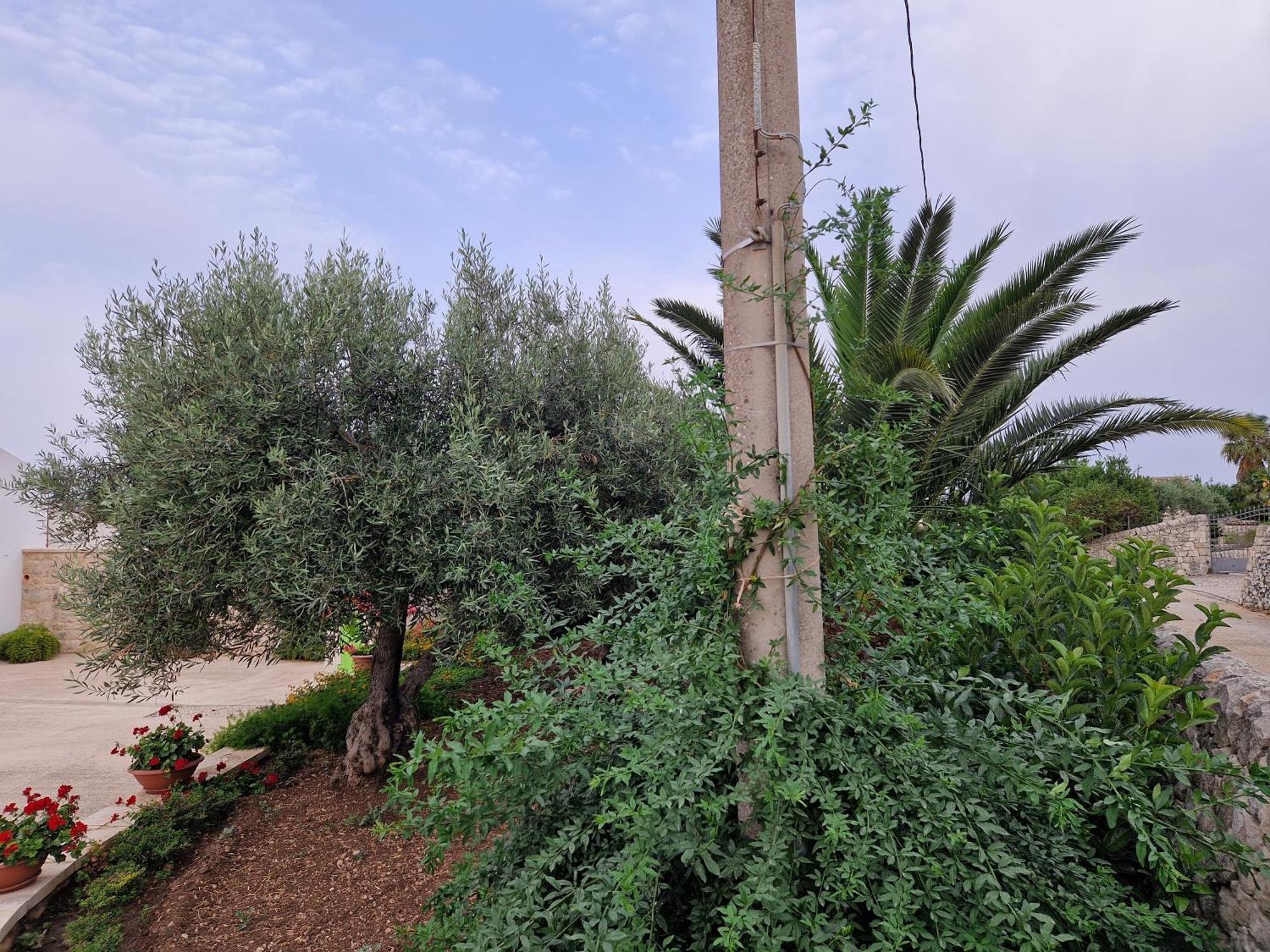 Casa Vacanza I Due Ulivi Modica Exterior foto